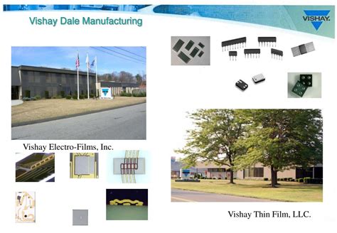 vishay americas inc|vishay israel ltd.